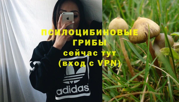 ешки Алексеевка