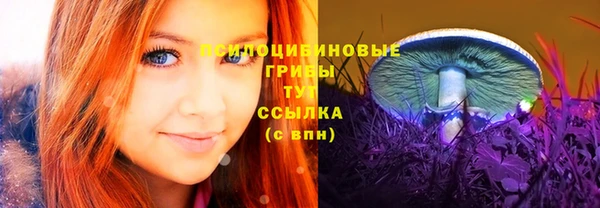 гашик Алзамай