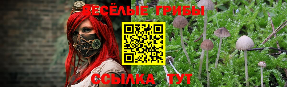 Псилоцибиновые грибы мухоморы  Псилоцибиновые грибы ЛСД  Новокубанск  Вход с VPN 
